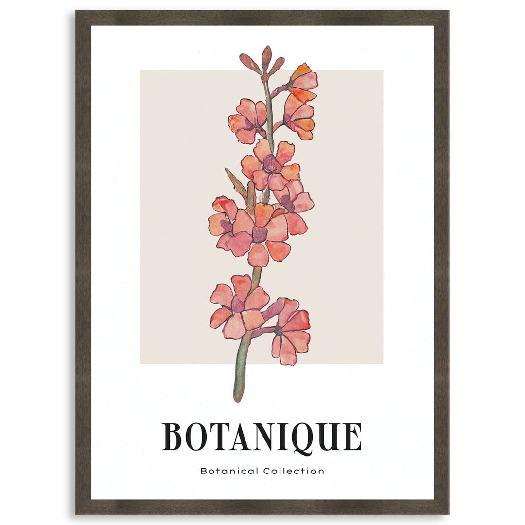 BOTANIQUE III - Framed Print