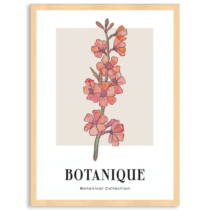 BOTANIQUE III - Framed Print