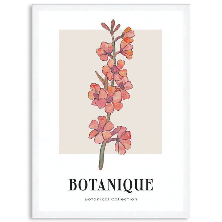 BOTANIQUE III - Framed Print