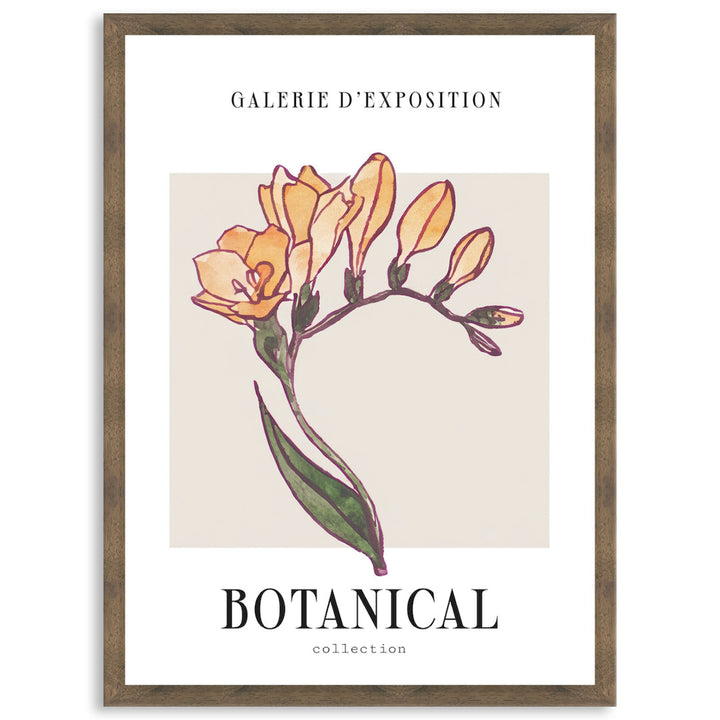 BOTANIQUE IV - Framed Print