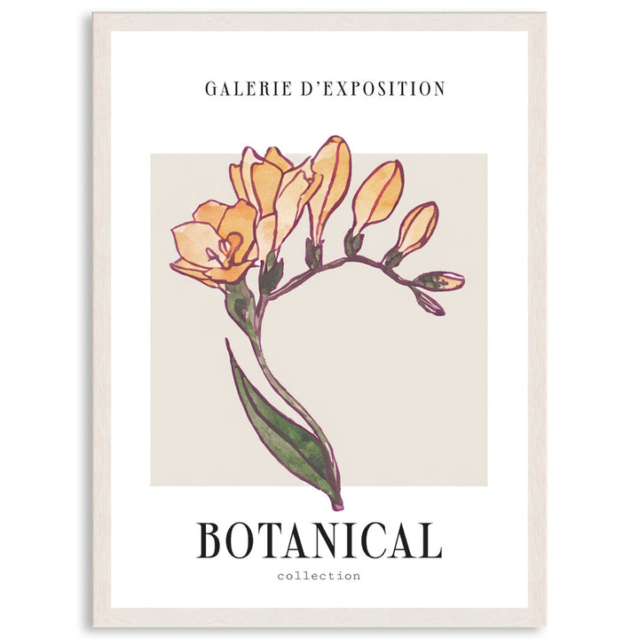 BOTANIQUE IV - Framed Print