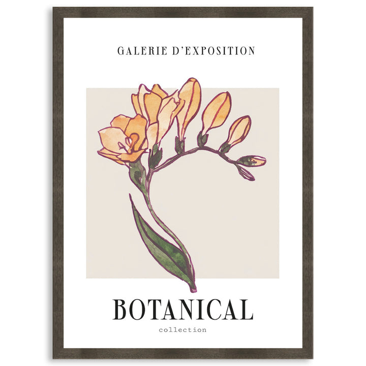 BOTANIQUE IV - Framed Print