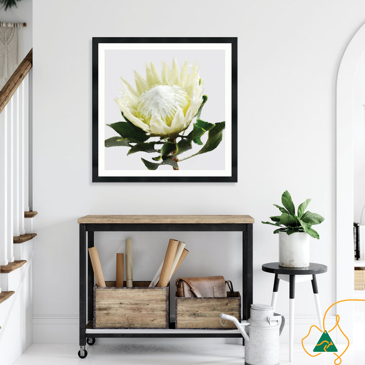 PROTEA WHITE - Framed Print