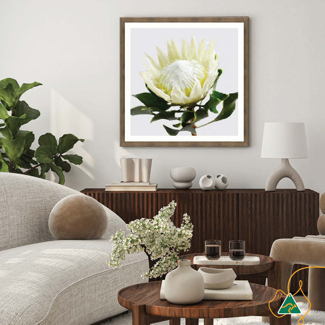 PROTEA WHITE - Framed Print