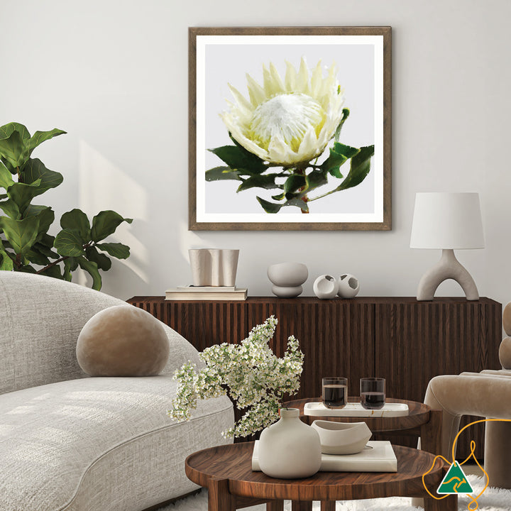 PROTEA WHITE - Framed Print