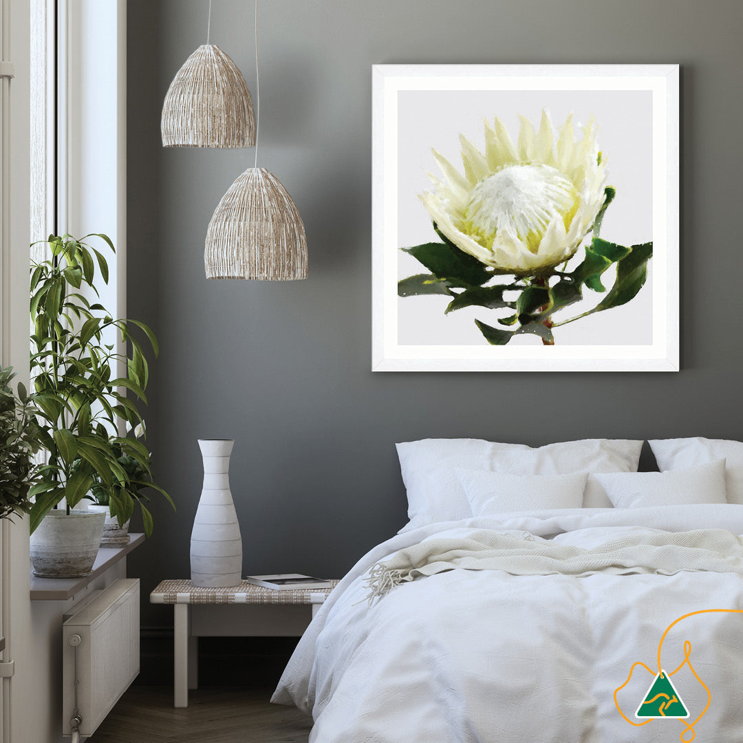 PROTEA WHITE - Framed Print