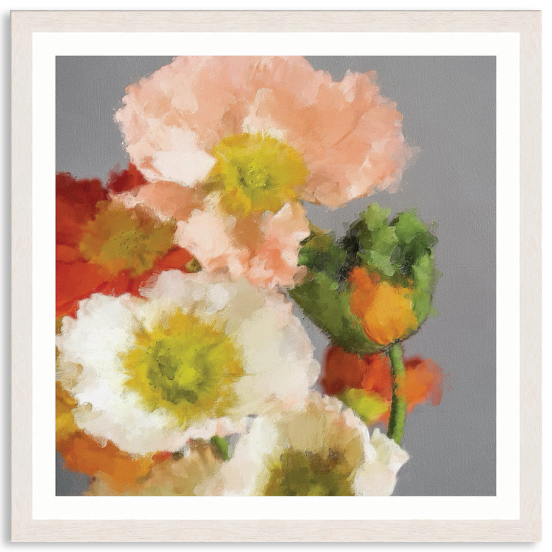 TUSCAN POPPIES II - Framed Print