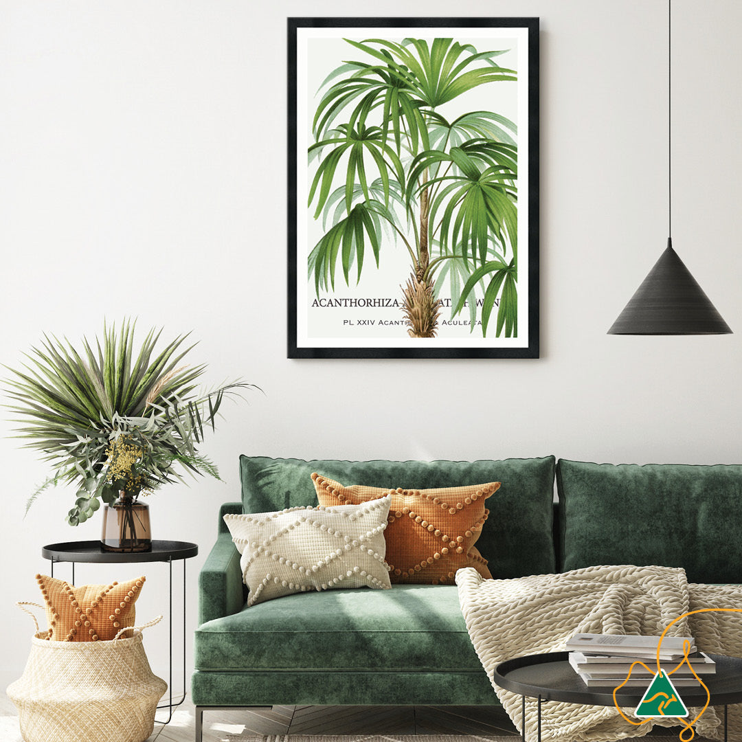 PALM COLLECTION I - Framed Print