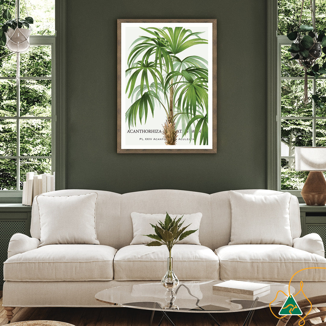 PALM COLLECTION I - Framed Print