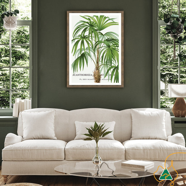 PALM COLLECTION I - Framed Print