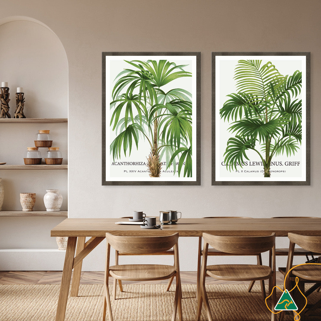 PALM COLLECTION I - Framed Print