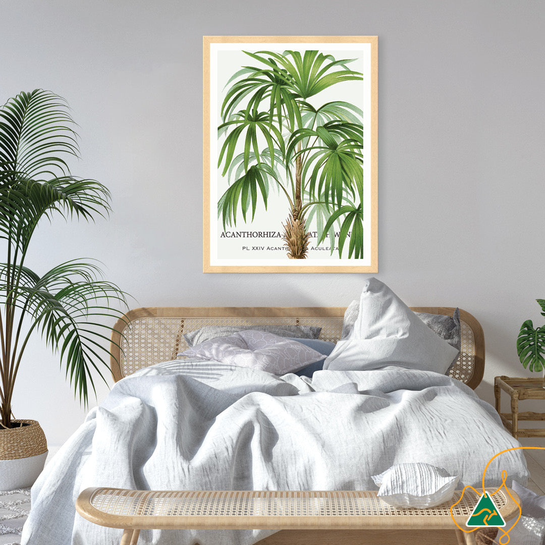 PALM COLLECTION I - Framed Print