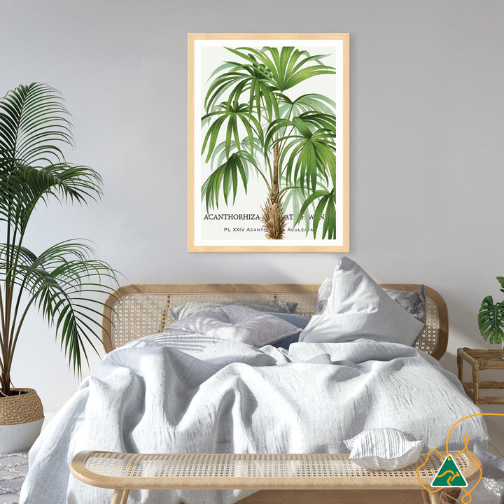 PALM COLLECTION I - Framed Print