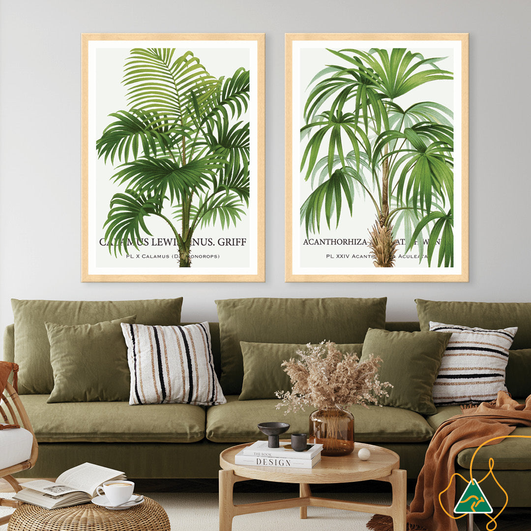 PALM COLLECTION II - Framed Print