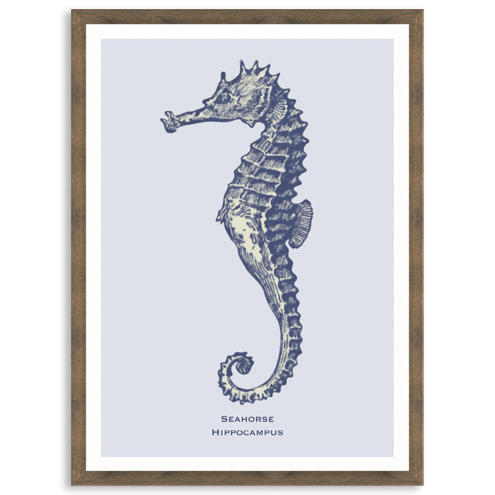 SEA HORSE - Framed Print
