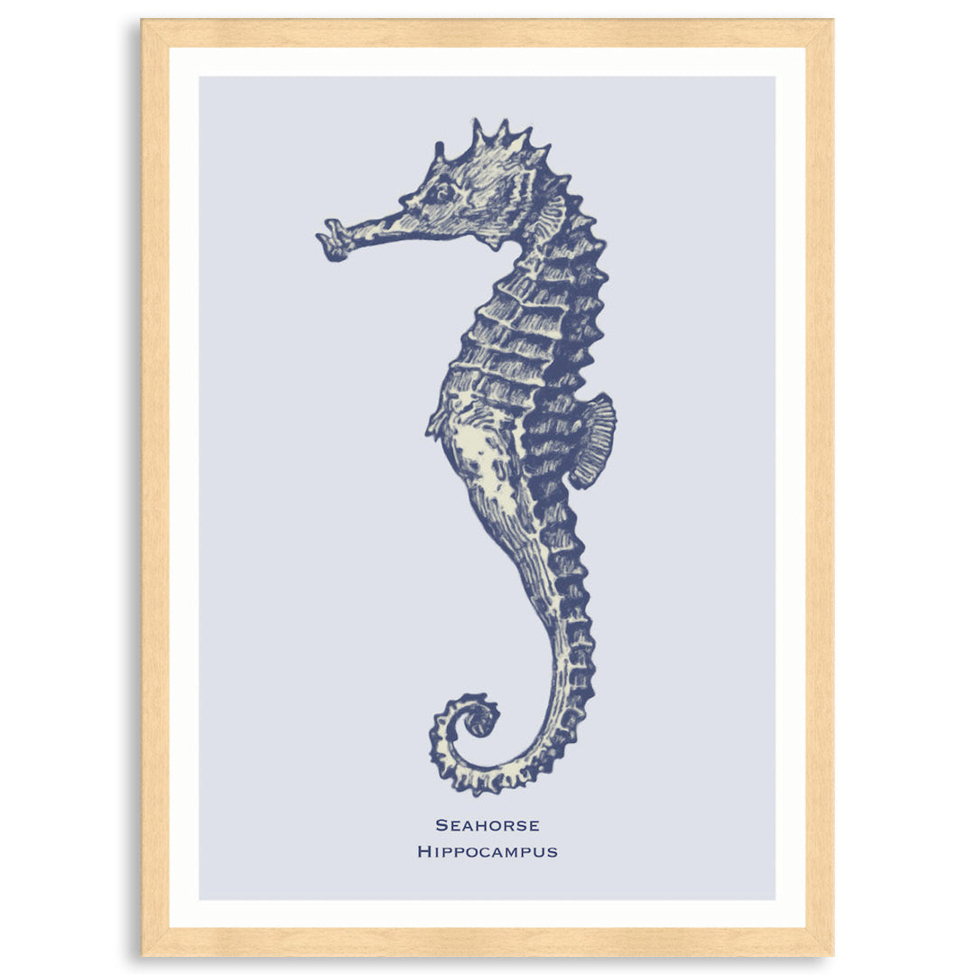 SEA HORSE - Framed Print