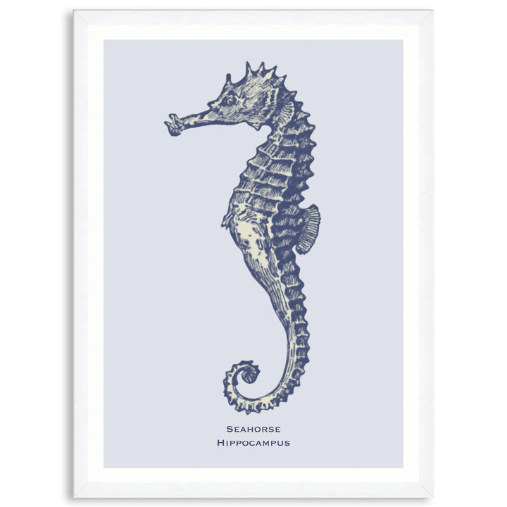 SEA HORSE - Framed Print