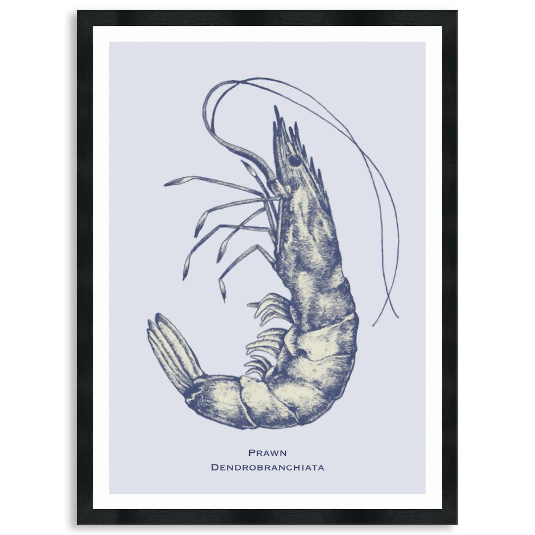 SEA PRAWN - Framed Print