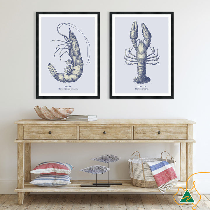 SEA PRAWN - Framed Print