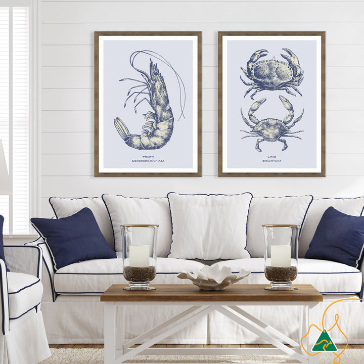SEA PRAWN - Framed Print