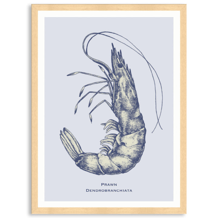 SEA PRAWN - Framed Print