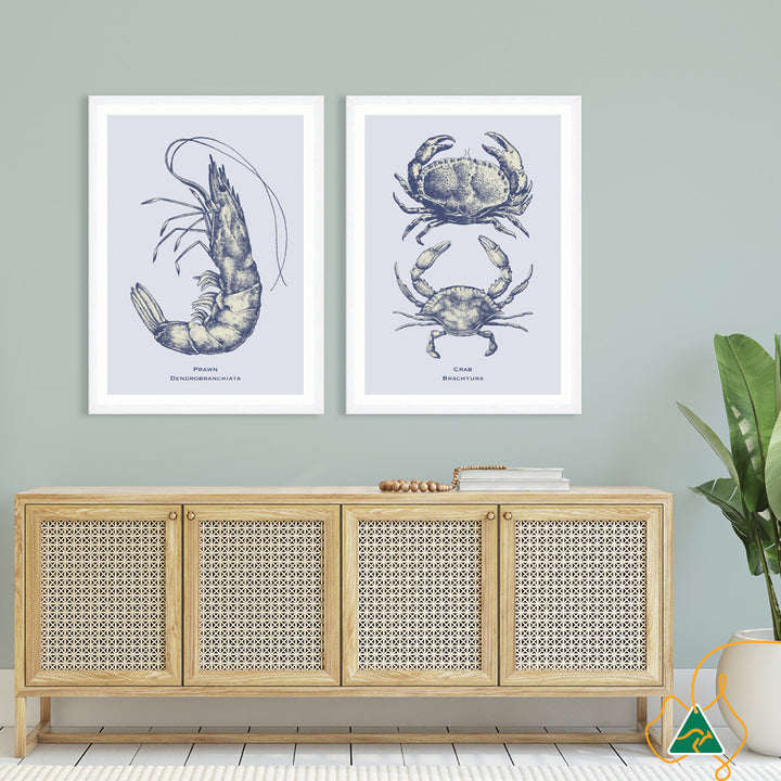 SEA PRAWN - Framed Print