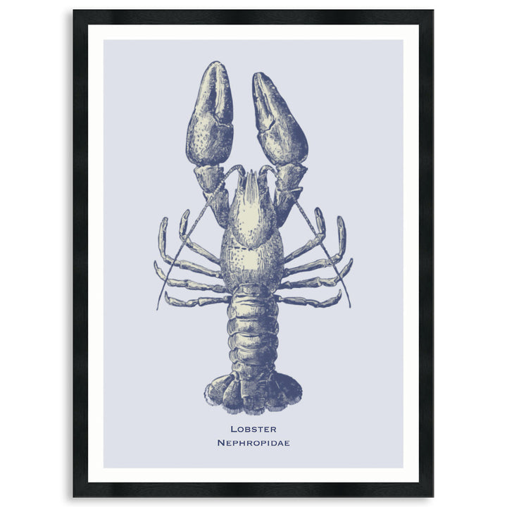 SEA LOBSTER - Framed Print