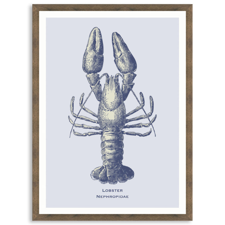 SEA LOBSTER - Framed Print