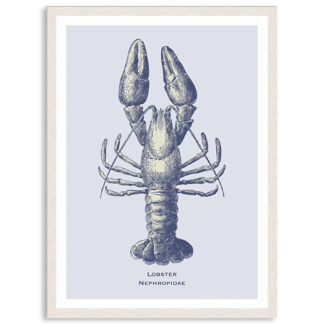 SEA LOBSTER - Framed Print