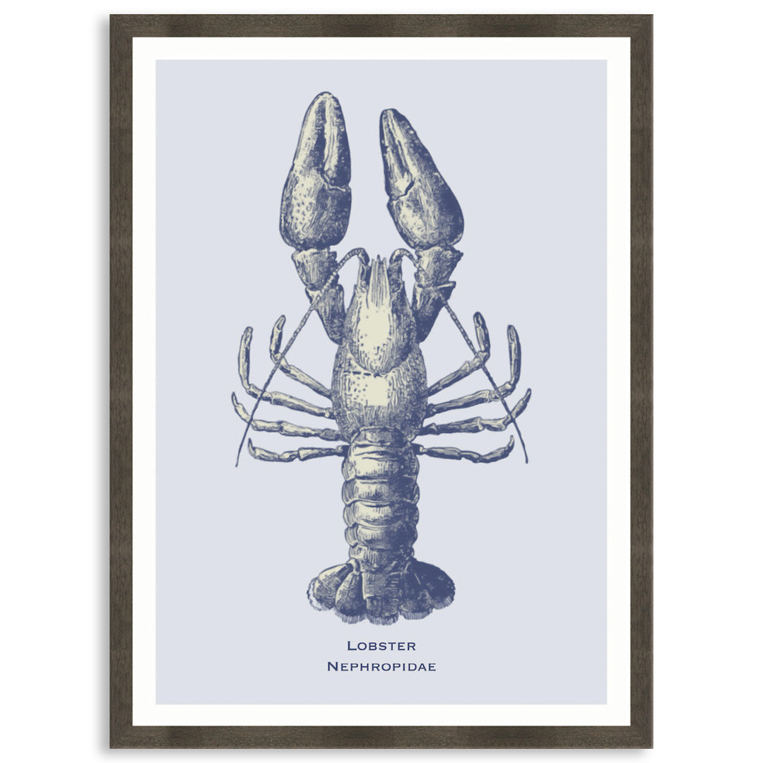 SEA LOBSTER - Framed Print