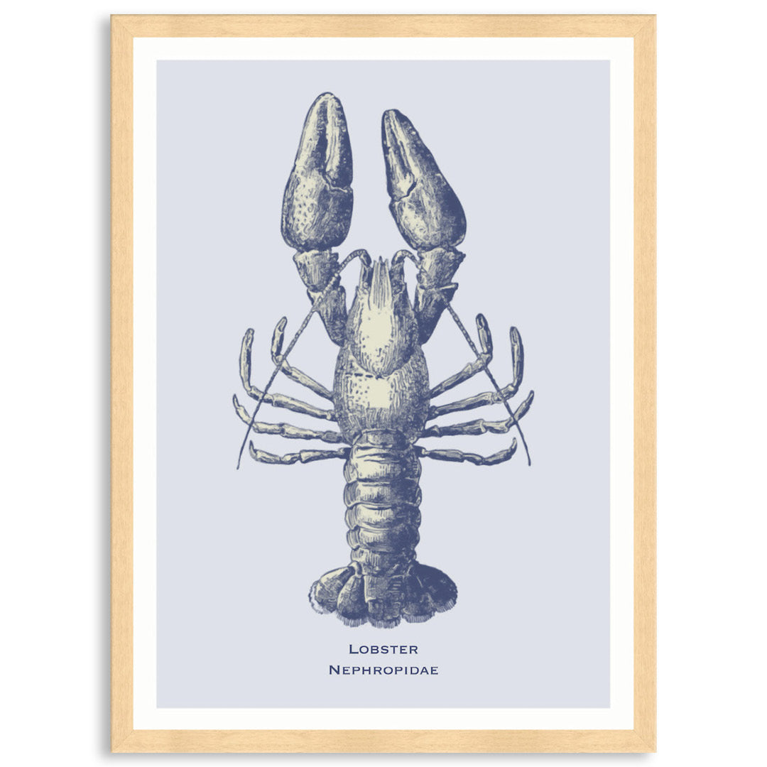 SEA LOBSTER - Framed Print