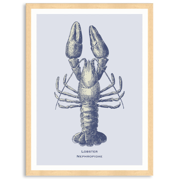 SEA LOBSTER - Framed Print