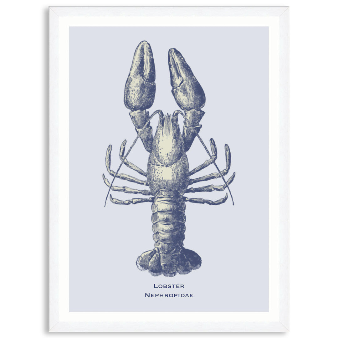 SEA LOBSTER - Framed Print
