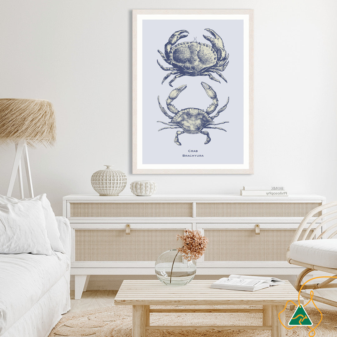 SEA CRAB - Framed Print
