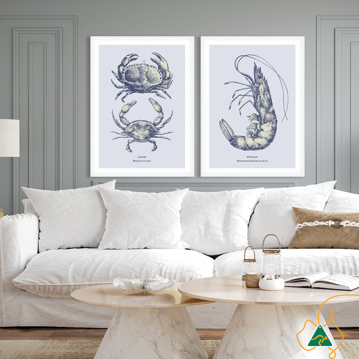 SEA CRAB - Framed Print