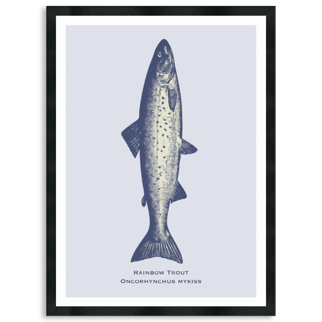 SEA TROUT - Framed Print