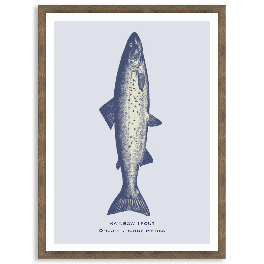 SEA TROUT - Framed Print