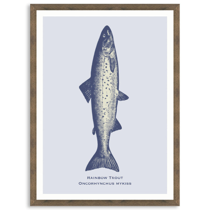 SEA TROUT - Framed Print
