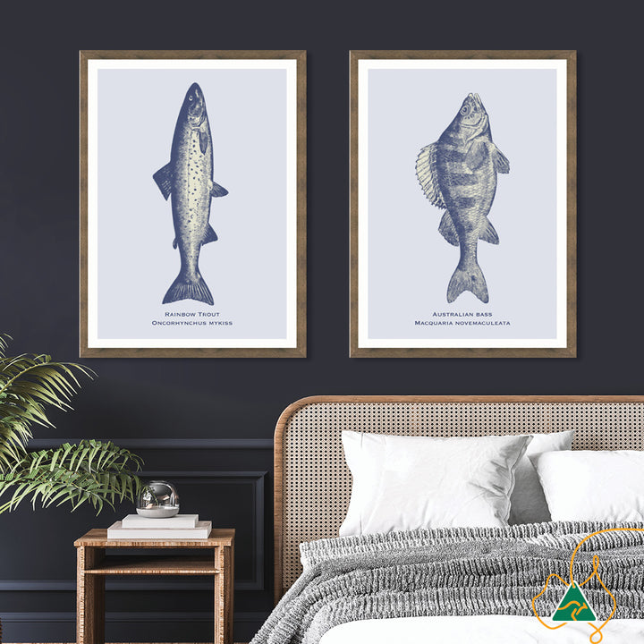 SEA TROUT - Framed Print