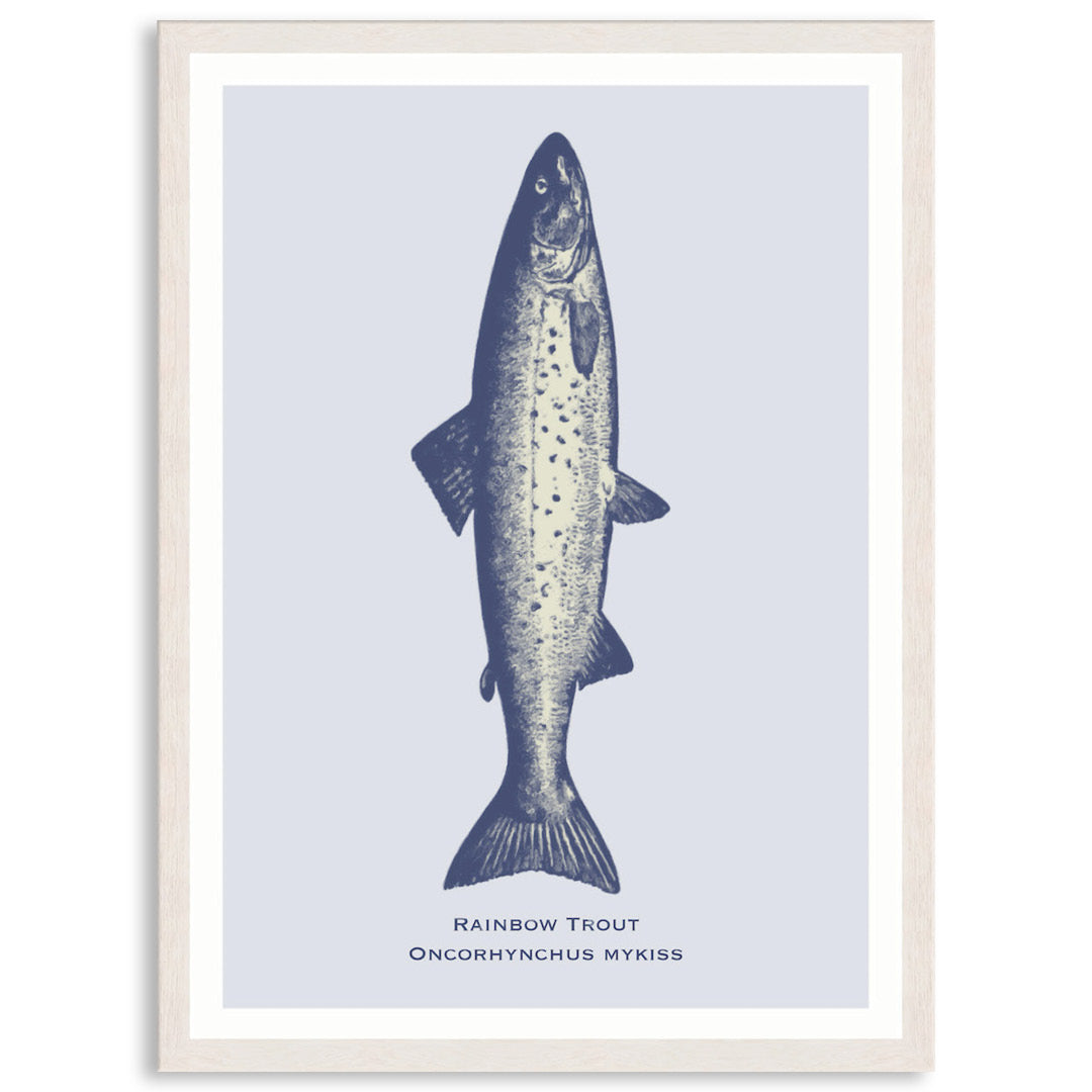 SEA TROUT - Framed Print