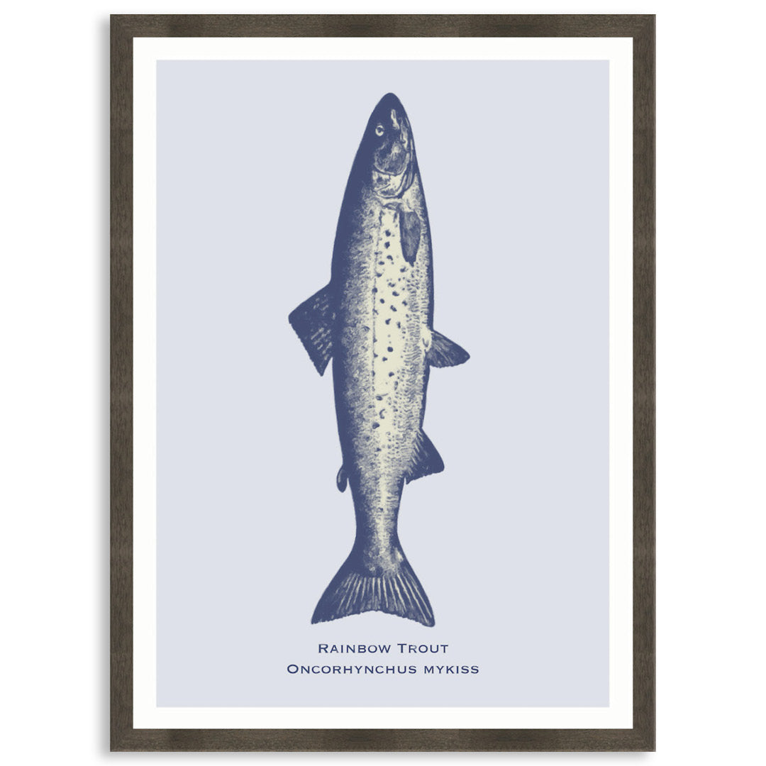 SEA TROUT - Framed Print