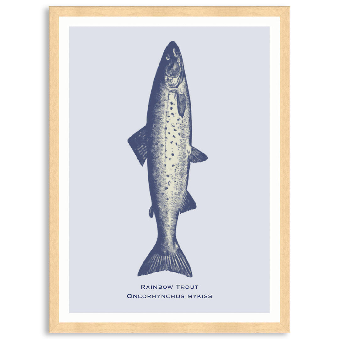 SEA TROUT - Framed Print