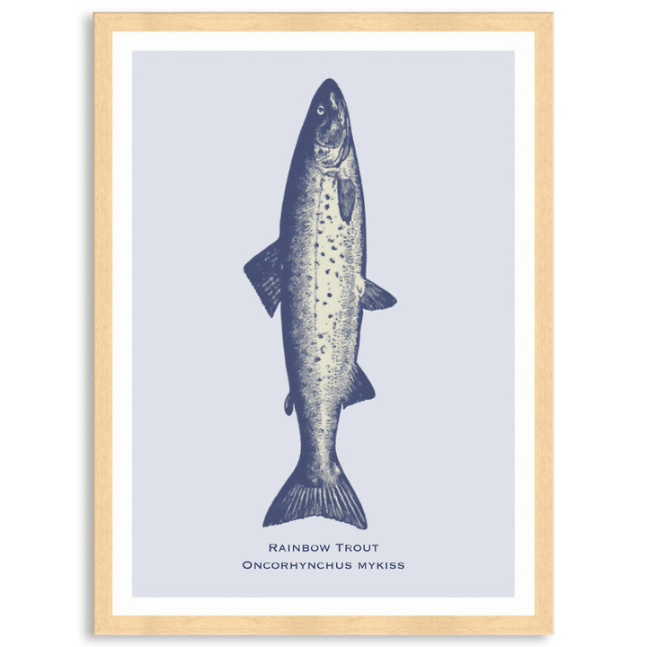 SEA TROUT - Framed Print
