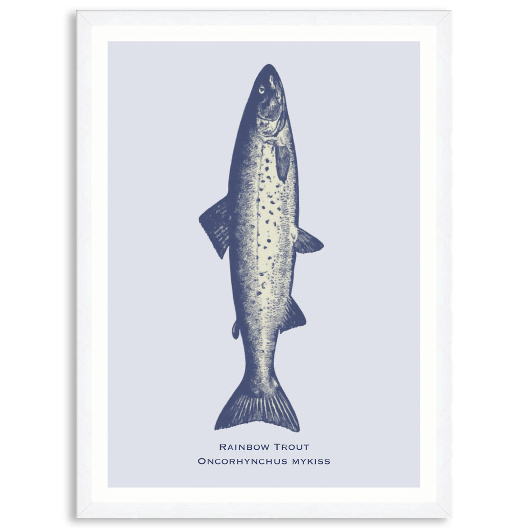 SEA TROUT - Framed Print