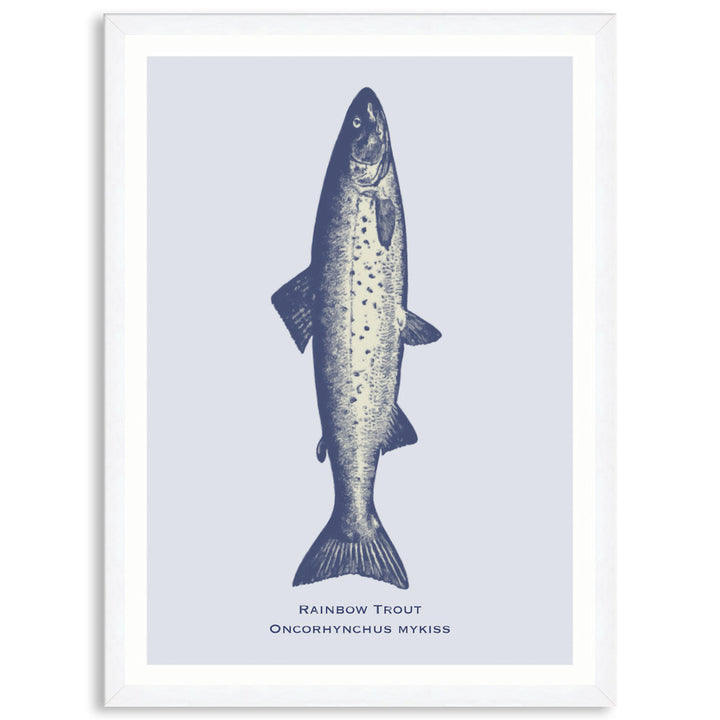 SEA TROUT - Framed Print