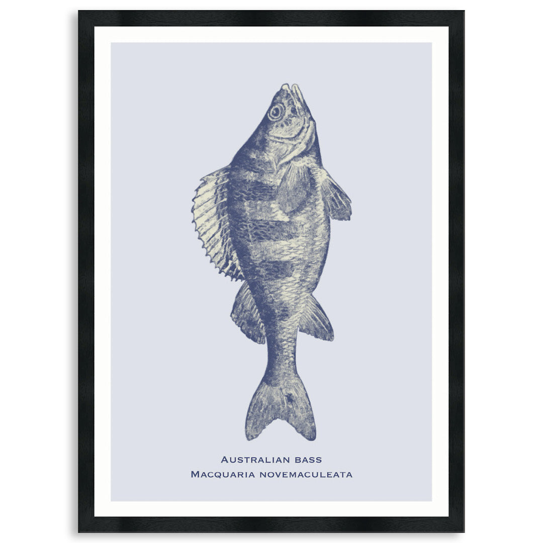 SEA BASS - Framed Print