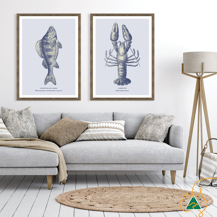 SEA BASS - Framed Print