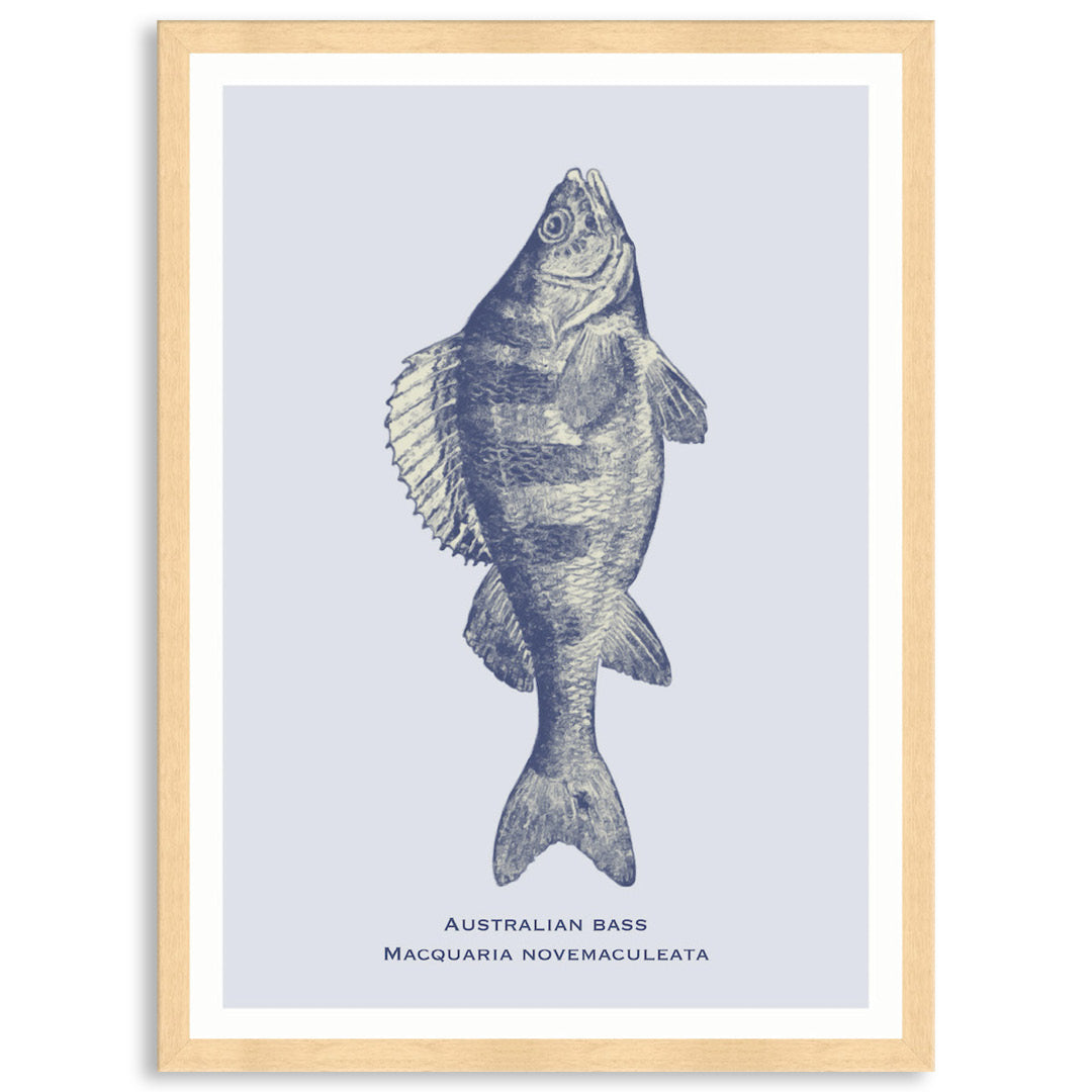 SEA BASS - Framed Print