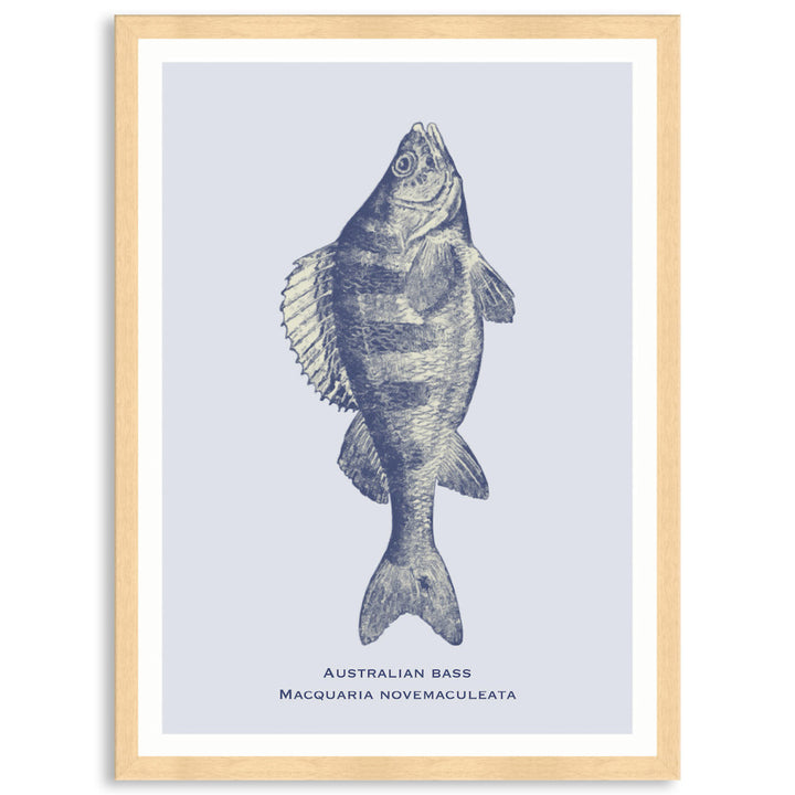 SEA BASS - Framed Print