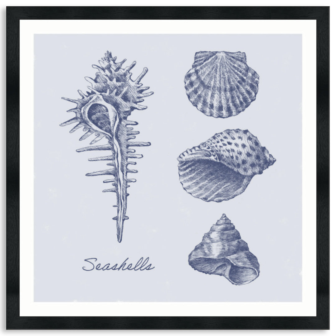 SEA SHELLS I - Framed Print